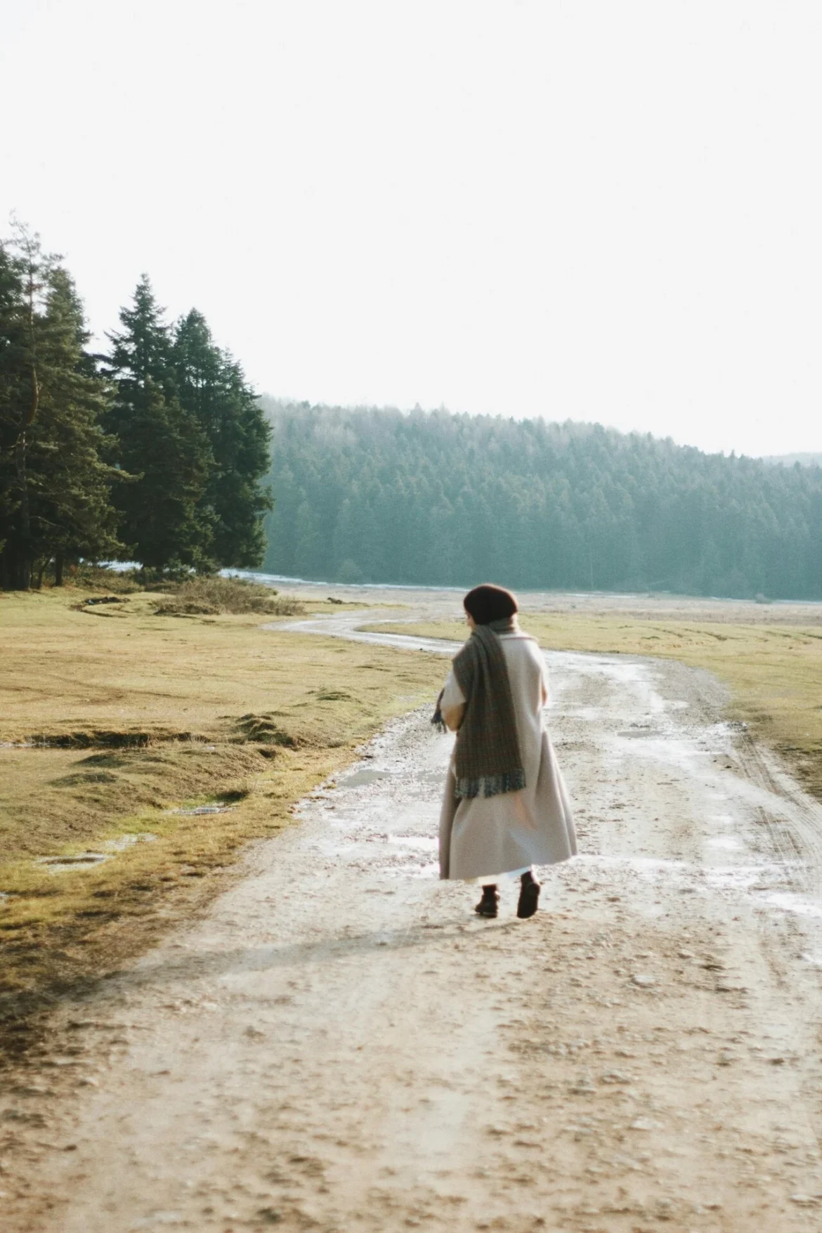 pexels-hicret-159589735-29158931